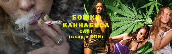 индика Кодинск